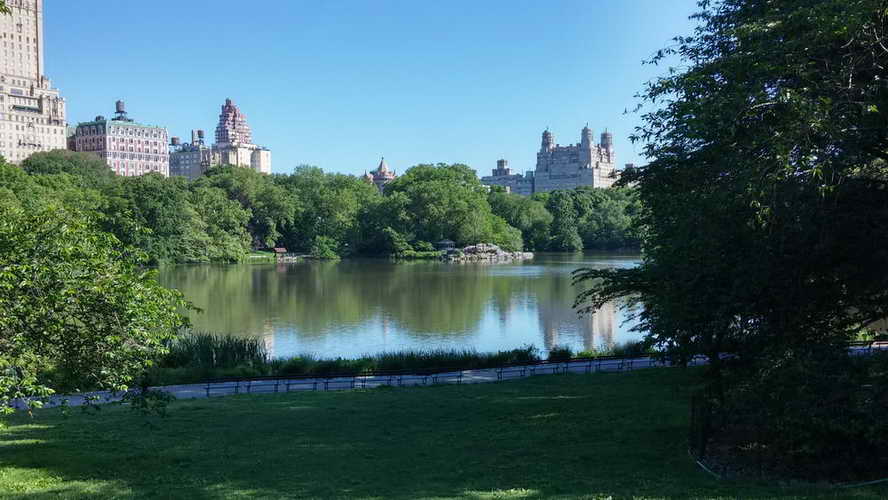 NYC_2014-06-01 08-46-45_CELL_20140601_084646_HDR